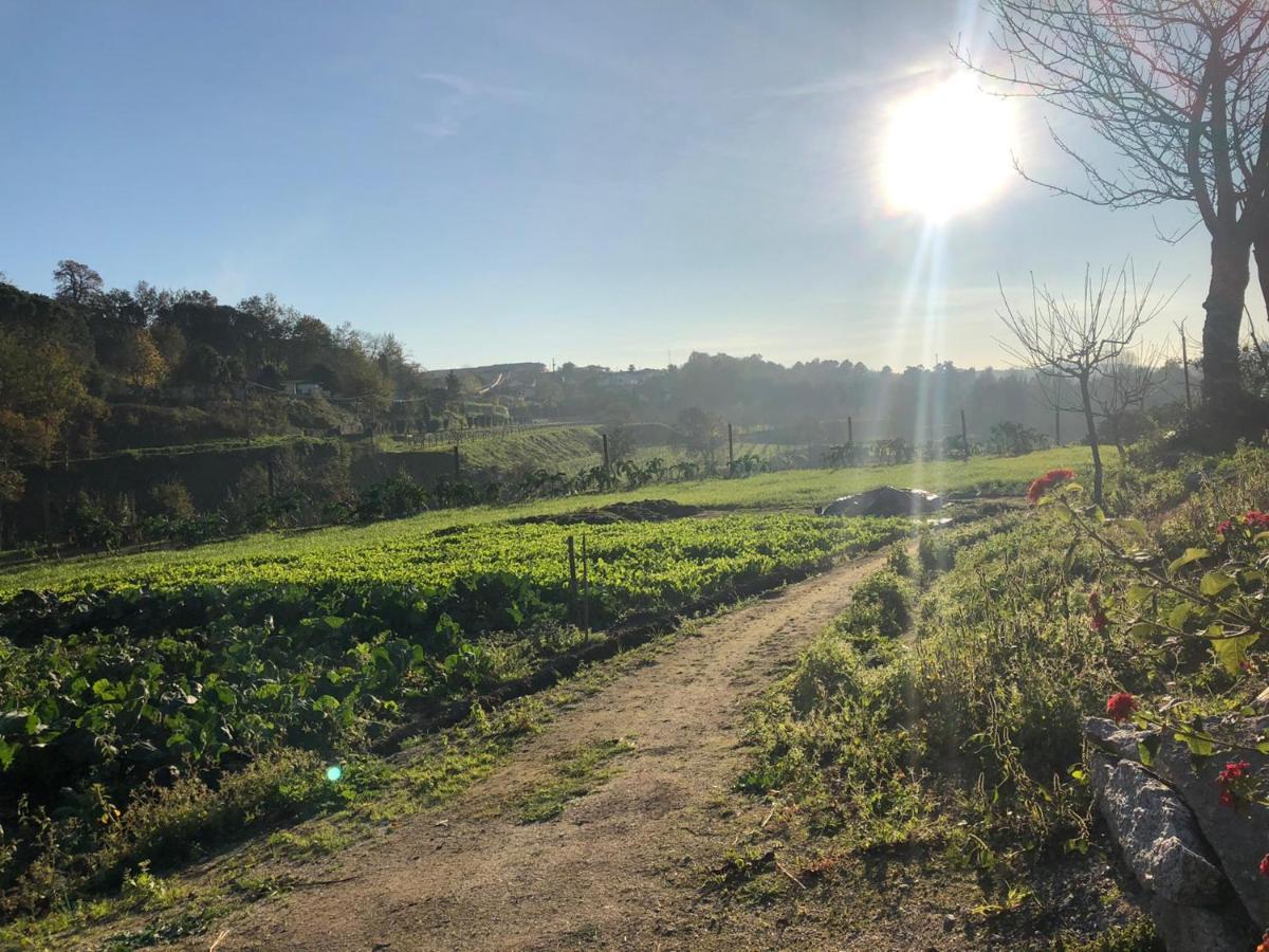 Villa Quinta Do Ovelheiro Guimarães Esterno foto